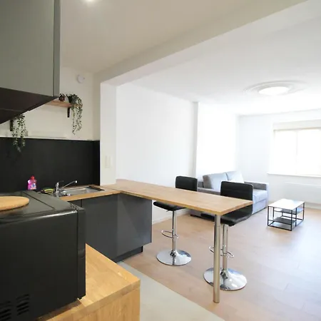 Apartment Chez Malau - Neuf Tres Cosy - Centre - Parking Juste En Face - Proche Gare - Internet - Tres Cosy - Canape Convertible Vrai Lit - Gere Par Presta'zen-services Verdun-sur-Meuse
